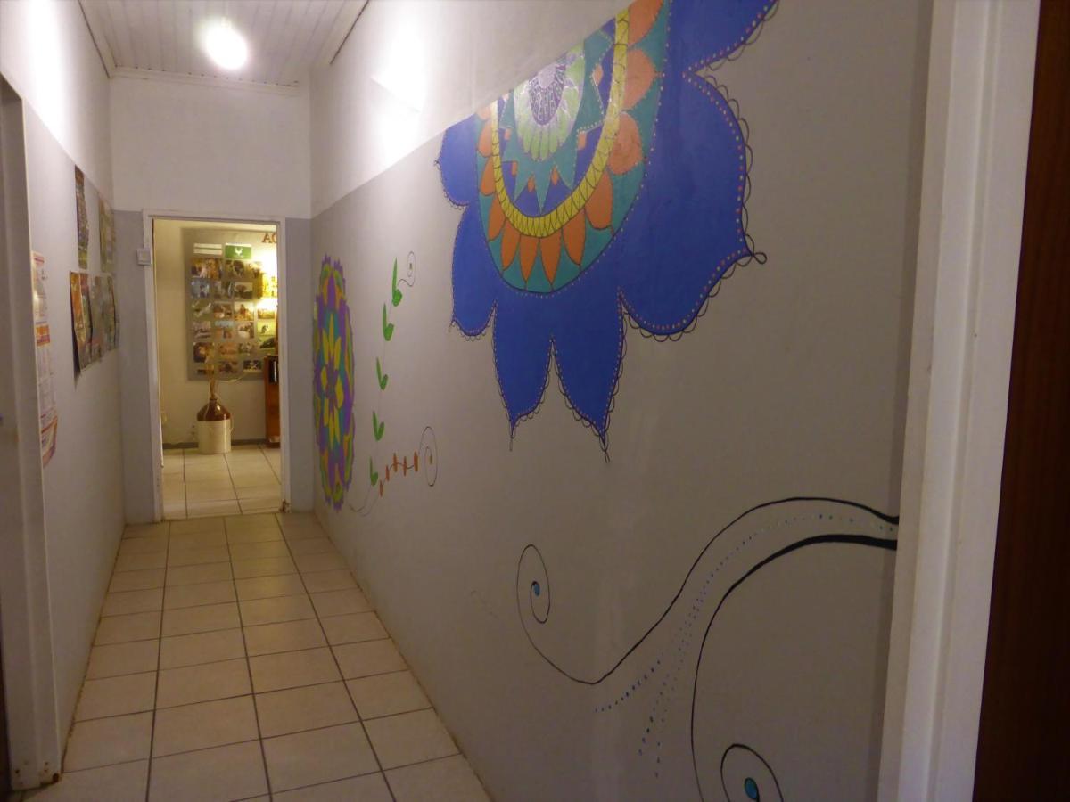 Orange Elephant Backpackers Hostel Addo Ngoại thất bức ảnh